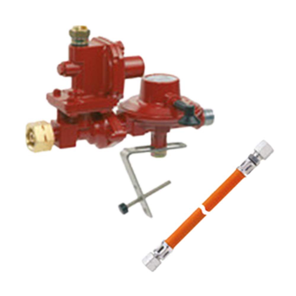Einflaschenanlage 50 mbar / 4,0  kg/h